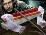 Sirius Black Sirius Black