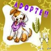 Adoptésnoopy
