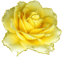 le jardin de "marie" Index du Forum