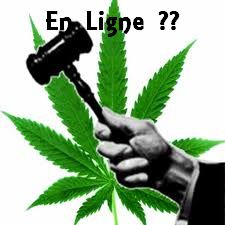 Qui est en ligne ?