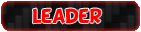 Leader