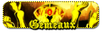 Gémeaux (21mai-20juin) Gémeaux (21mai-20juin)