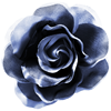 New posts