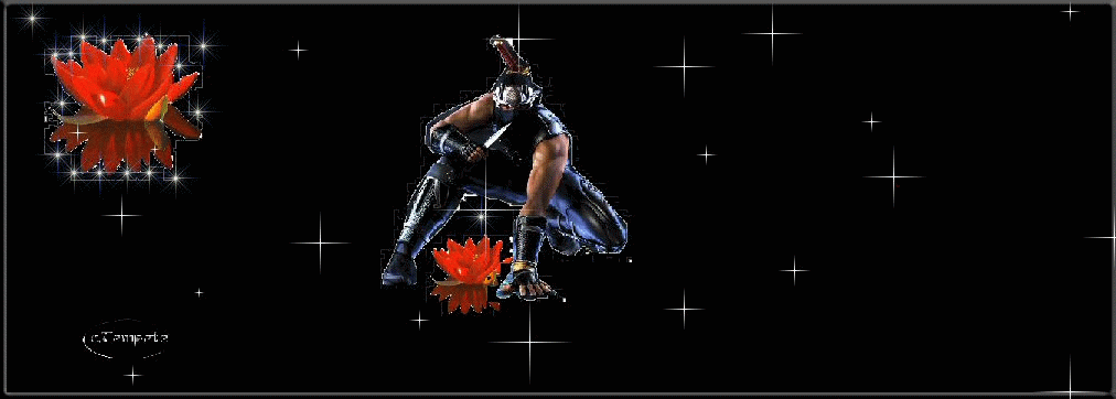 lotusred Index du Forum
