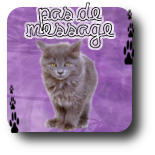 Pas de nouveaux messages
