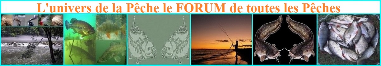 L'univers de la pêche Index du Forum
