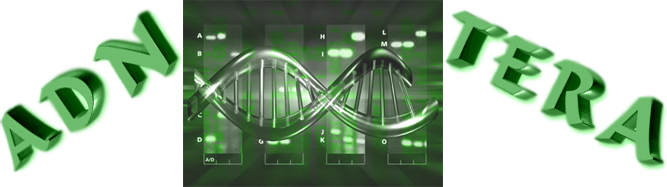 Guilde ADN - Tera Index du Forum