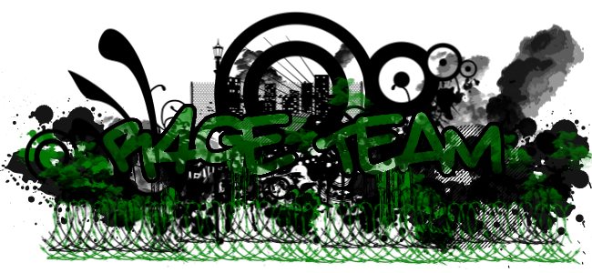 team R4GE Index du Forum