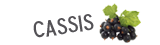 Cassis