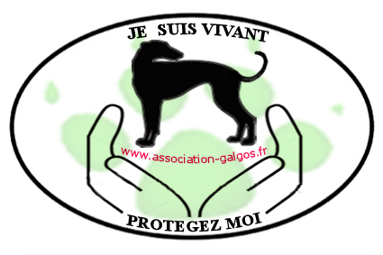 association galgos Index du Forum