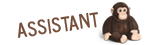 Assistant