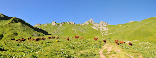 L'AUVERGNE en photo