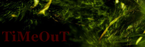 timeout Index du Forum