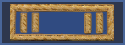 CAPTAIN