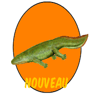 Nouveau