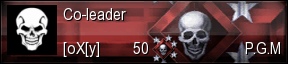 Co-leader