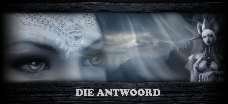 die antwoord illidan Index du Forum