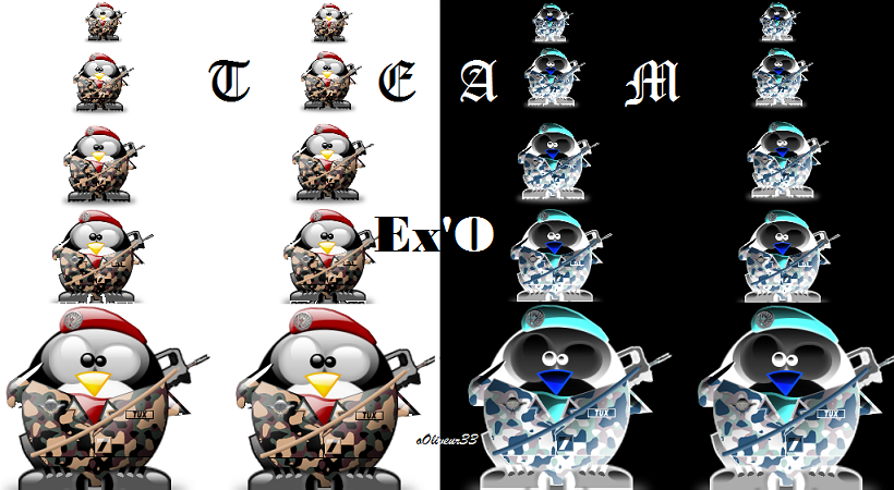 "Team Ex'O" Index du Forum