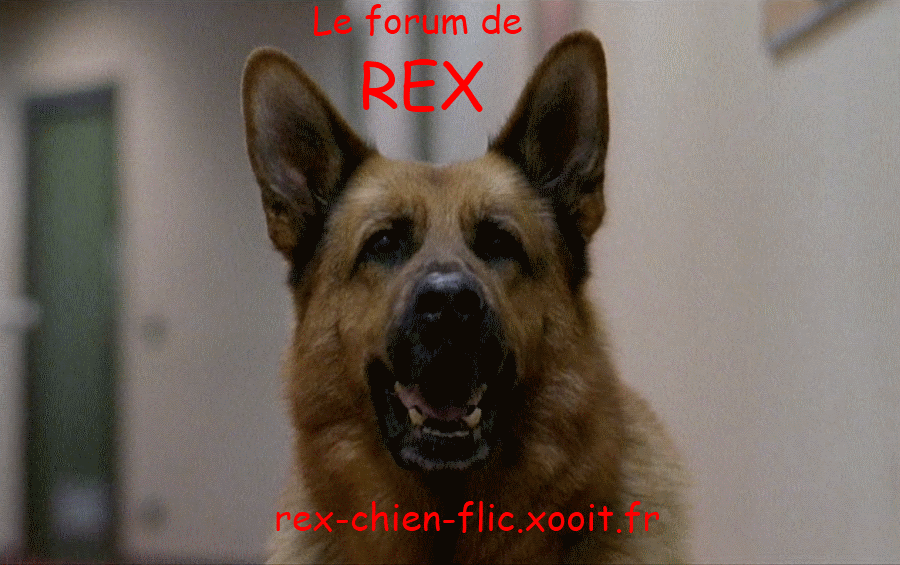 REX Index du Forum