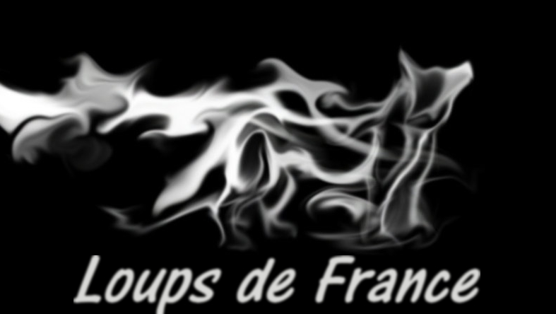 loups de france Index du Forum