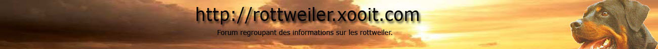Rottweiler Index du Forum Rottweiler Index du Forum