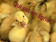 Qui est en ligne ?