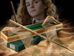 Hermione Hermione