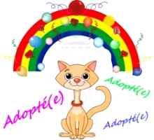 chatadopté1