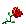 :rose: