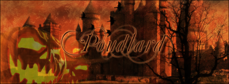 Le château de poudlard Index du Forum