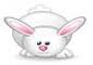 lapin-pinpin