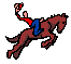équitation