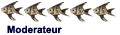 Modérateur