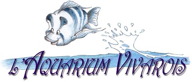 L'Aquarium Vivarois Forum Index
