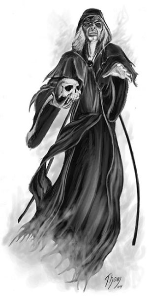 Afficher limage dorigine