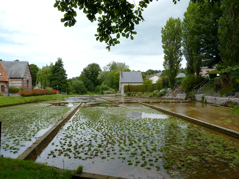Résultat de recherche d'images pour "VEULES LES ROSES"