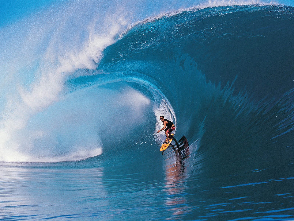 http://img.xooimage.com/files72/d/5/8/surf-2a5f939.png