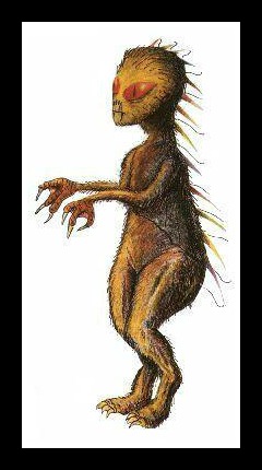 Afficher limage dorigine