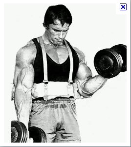 power club tarare .::. Les biceps power club tarare .::. Les biceps