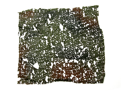 http://img.xooimage.com/files75/4/1/1/filet-camouflage-leo-2ff29d8.jpg