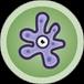 Cellule