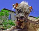 Chien Mutant