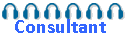 Consultant