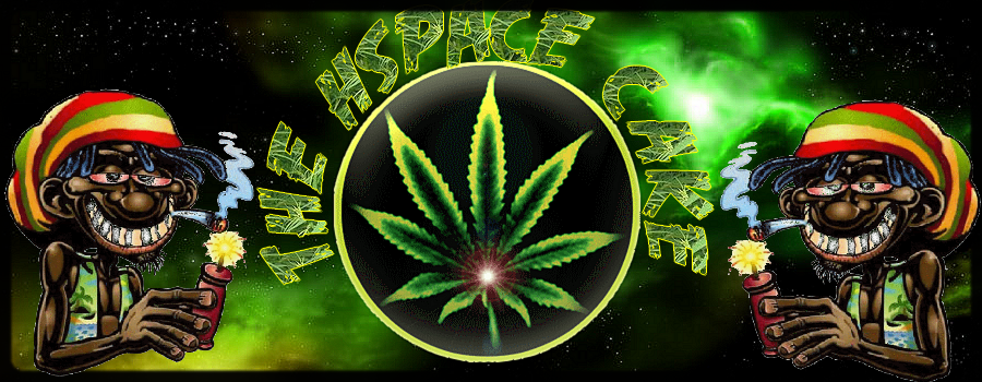 the hspace cake Index du Forum