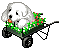 hond3