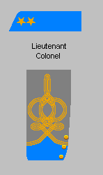 Lieutenant Colonel D'Infanterie