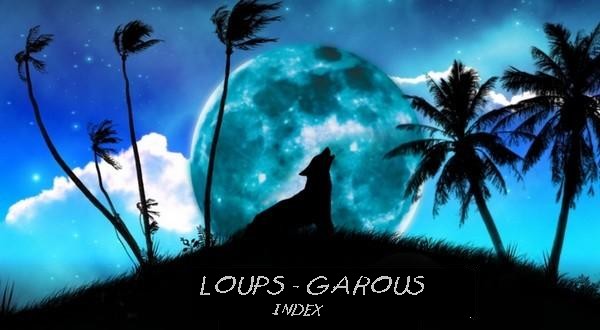 Les Loups-Garous de Thiercelieux : Forum Index du Forum