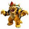 Bowser Bowser