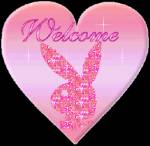 Bienvenue8