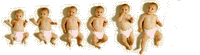 Membre en or
